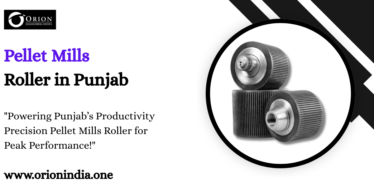 You are currently viewing Pellet Mills Roller in Punjab