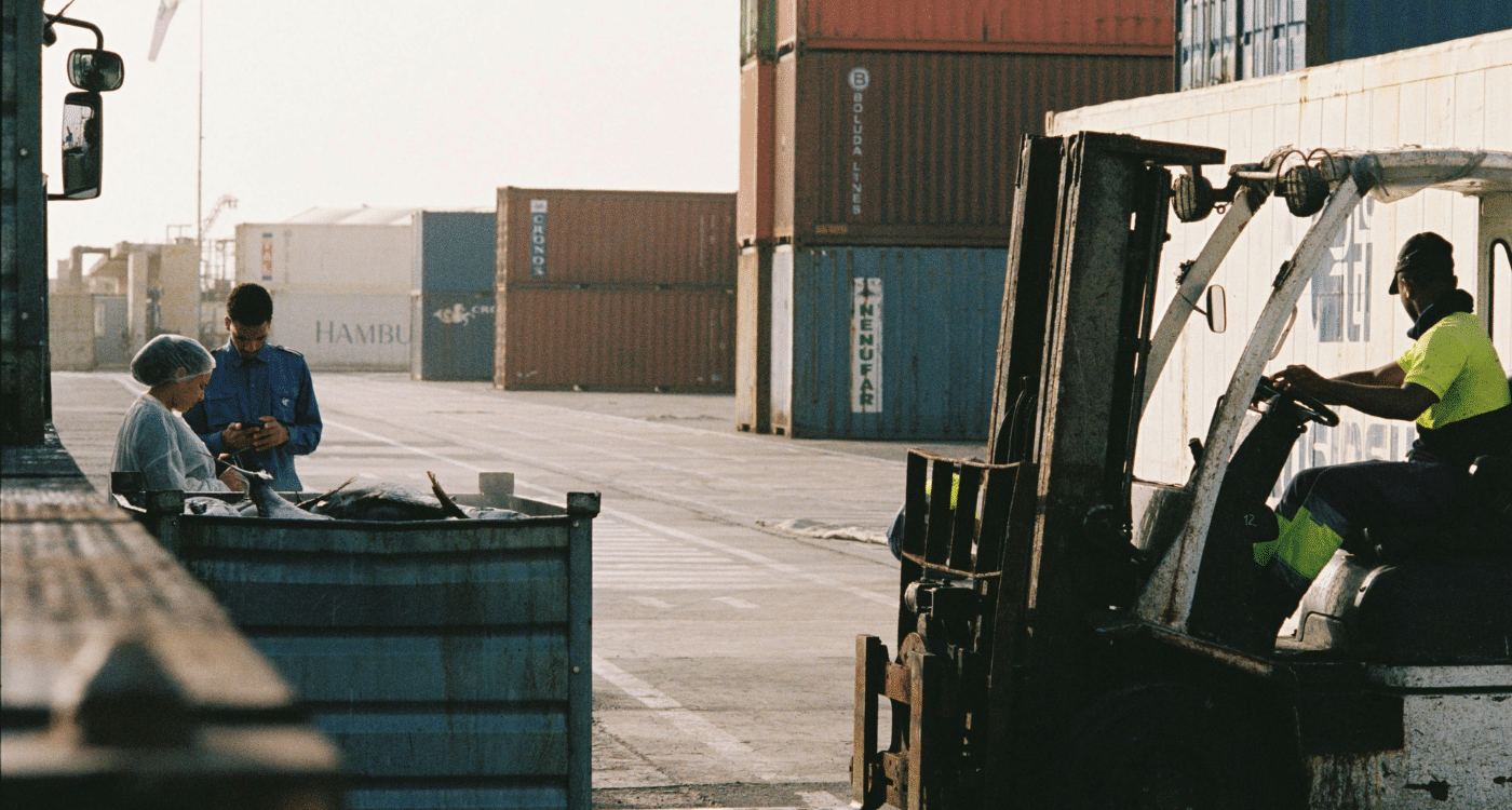 Cargo handling and export dispatch